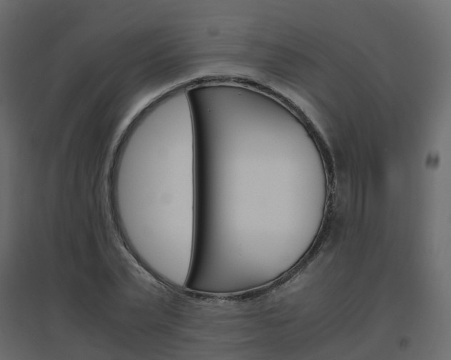X0000096640783200802050957