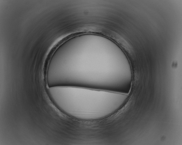 X0000096640784200802050957