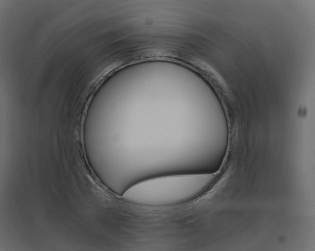 X0000096640785200802050957