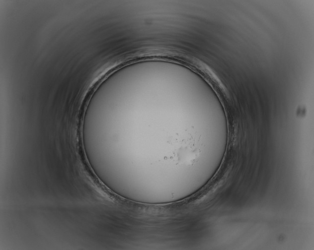 X0000096640786200802050957