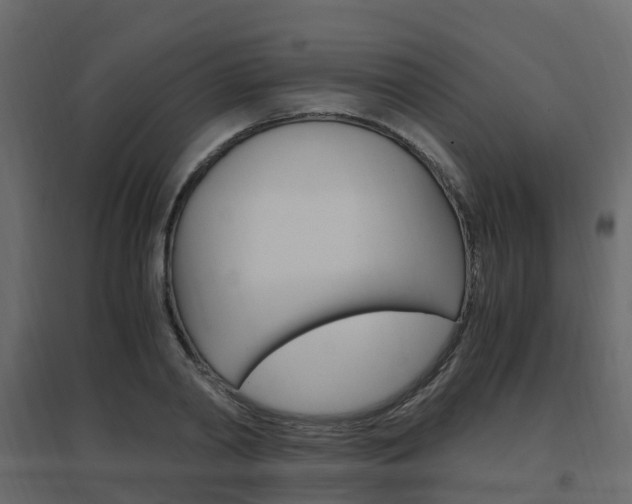 X0000096640790200802050957