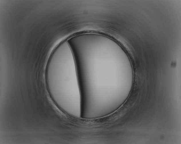 X0000096640791200802050956