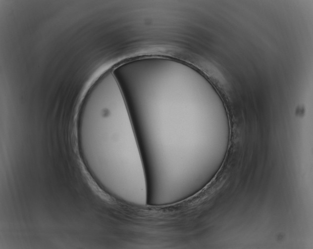X0000096640792200802050956