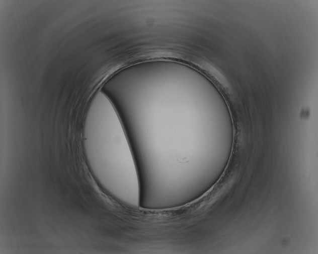 X0000096640793200802050956