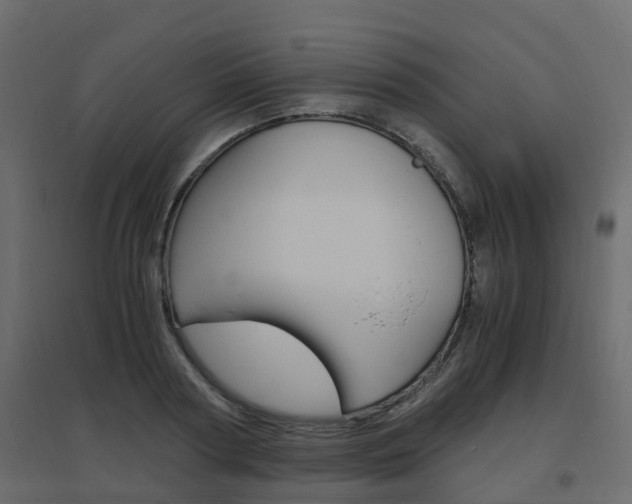 X0000096640794200802050956