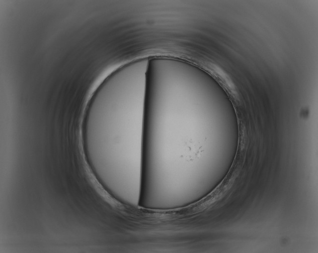 X0000096640796200802050956