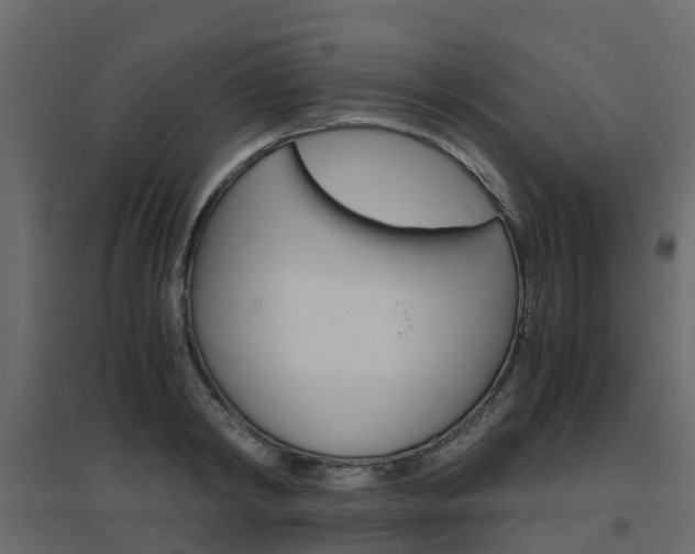 X0000096640798200802050956