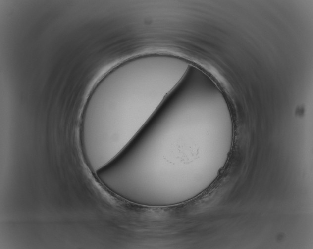 X0000096640799200802050956