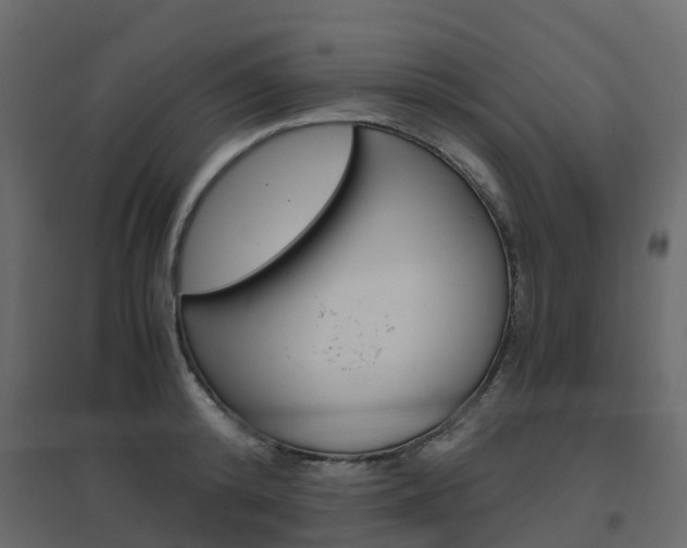 X0000096640800200802050956