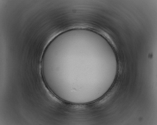 X0000096640802200802050956