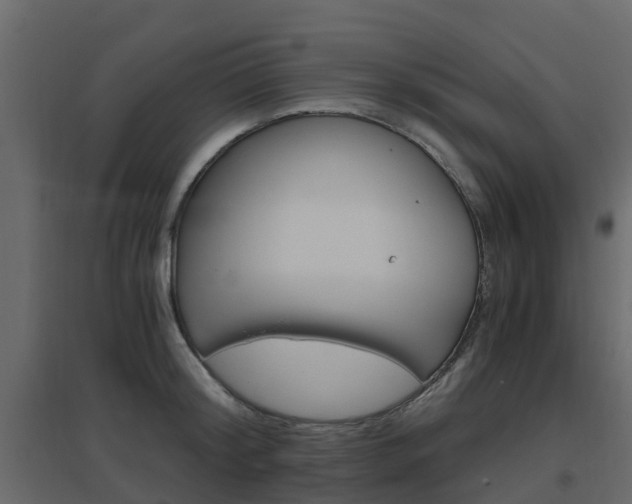 X0000096640804200802050956