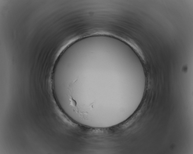 X0000096640806200802050956