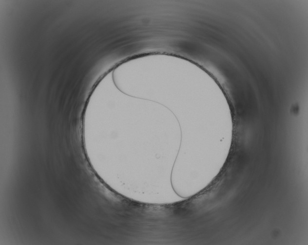 X0000096640807200802050956