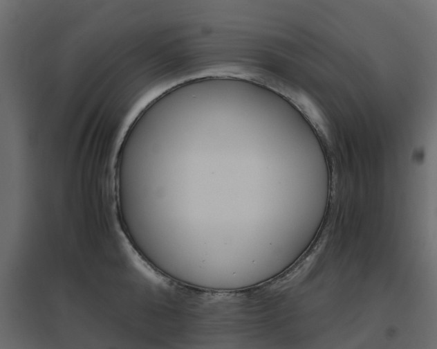 X0000096640808200802050956