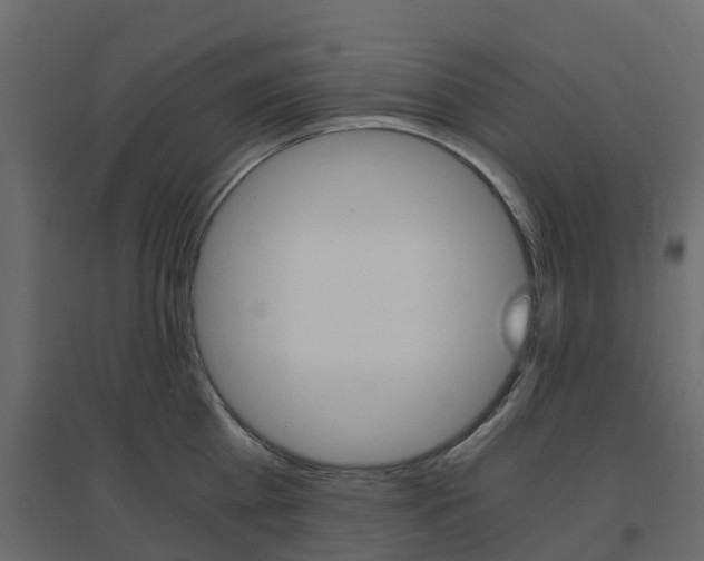 X0000096640809200802050956