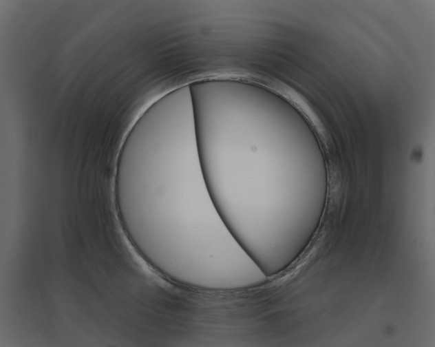 X0000096640810200802050956