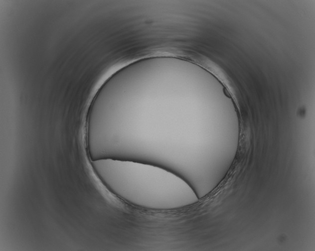 X0000096640811200802050956