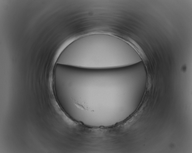 X0000096640812200802050956