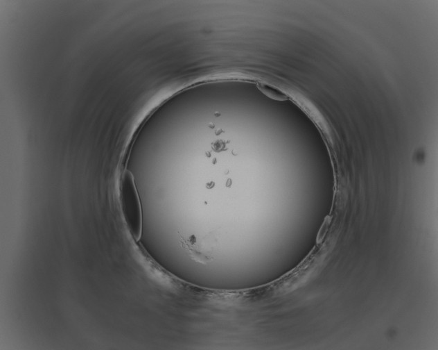 X0000096640813200802050956