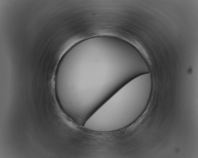 X0000096640814200802050956