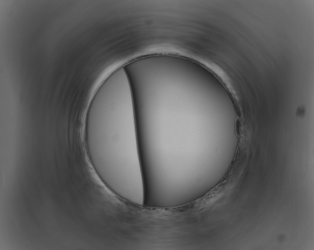 X0000096640815200802050956