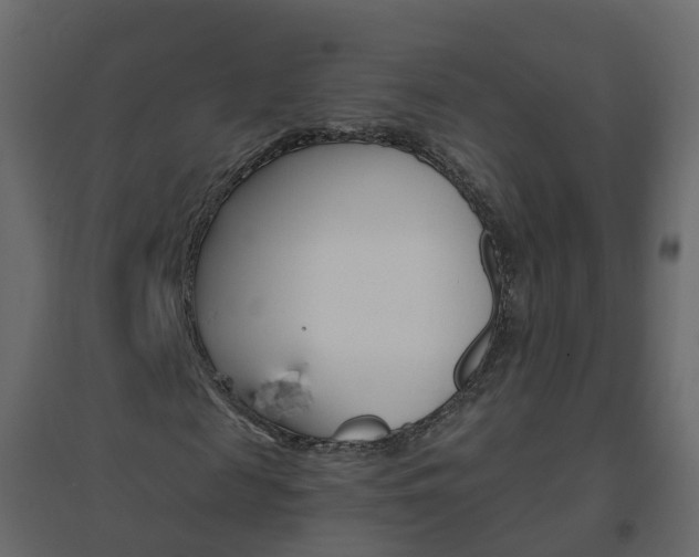 X0000096640817200802050955