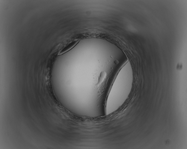X0000096640818200802050955