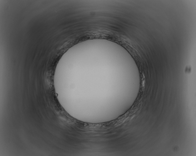 X0000096640819200802050955