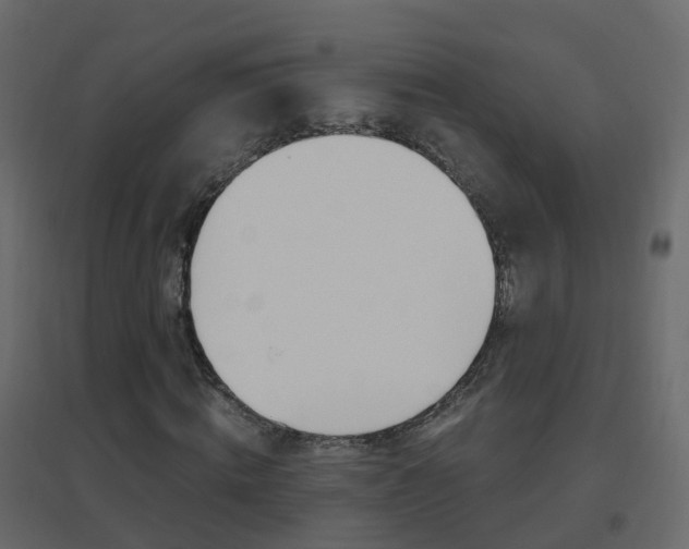 X0000096640820200802050955