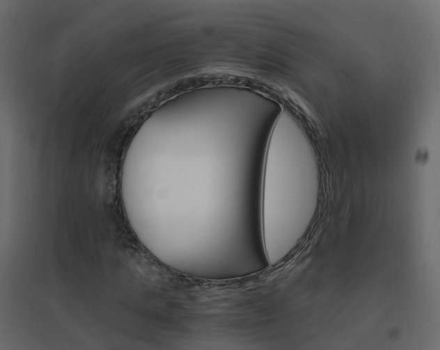 X0000096640821200802050955
