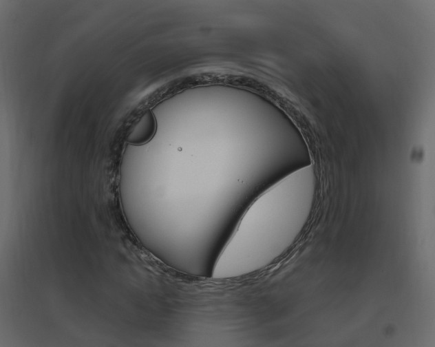 X0000096640822200802050955