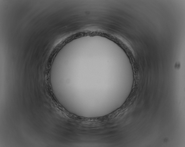 X0000096640823200802050955