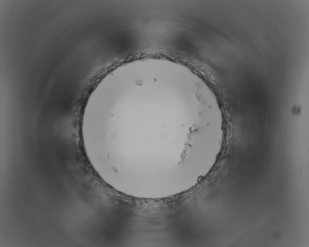 X0000096640824200802050955