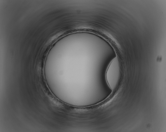 X0000096640825200802050955