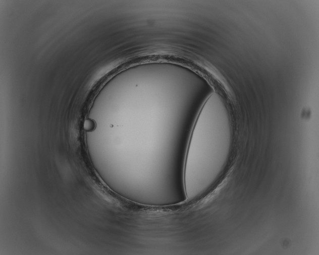 X0000096640826200802050955