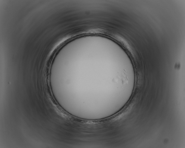 X0000096640827200802050955