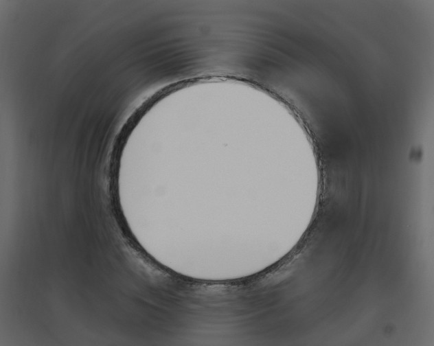 X0000096640828200802050955
