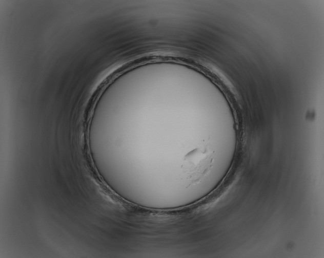X0000096640829200802050955