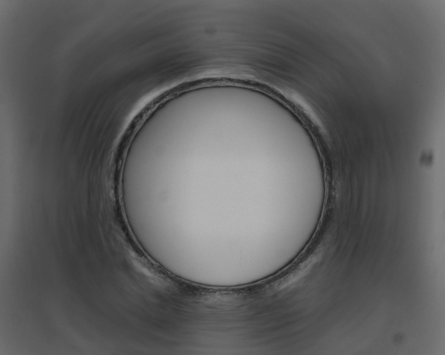 X0000096640830200802050955