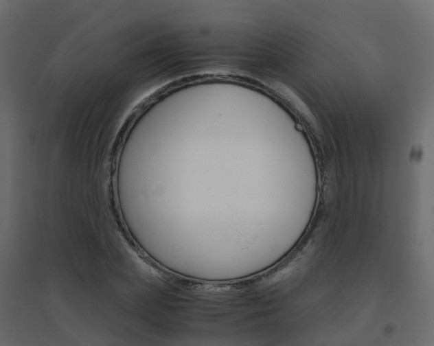 X0000096640831200802050955