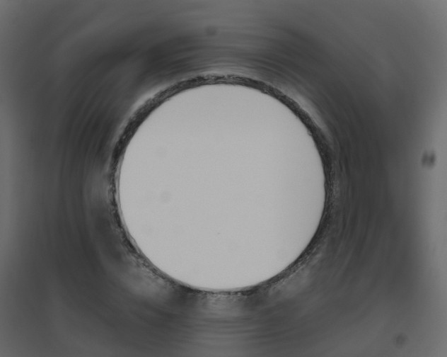 X0000096640832200802050955