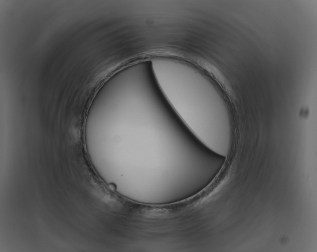 X0000096640833200802050955