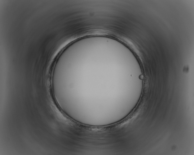 X0000096640835200802050955