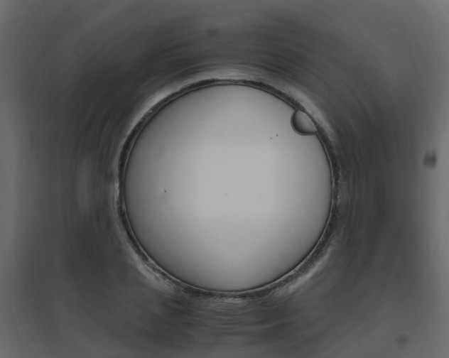 X0000096640837200802050955