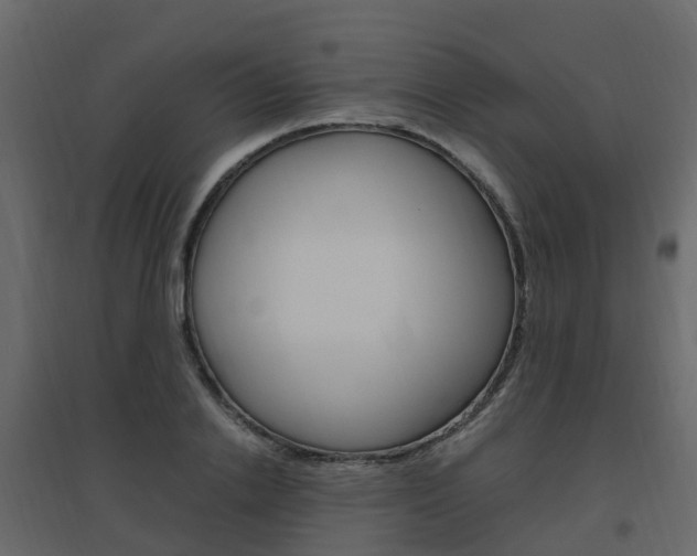 X0000096640838200802050955