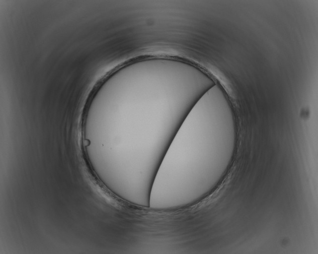 X0000096640840200802050955