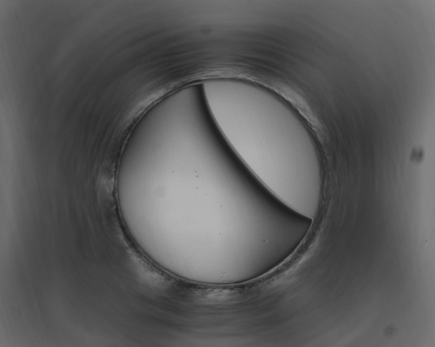 X0000096640841200802050955