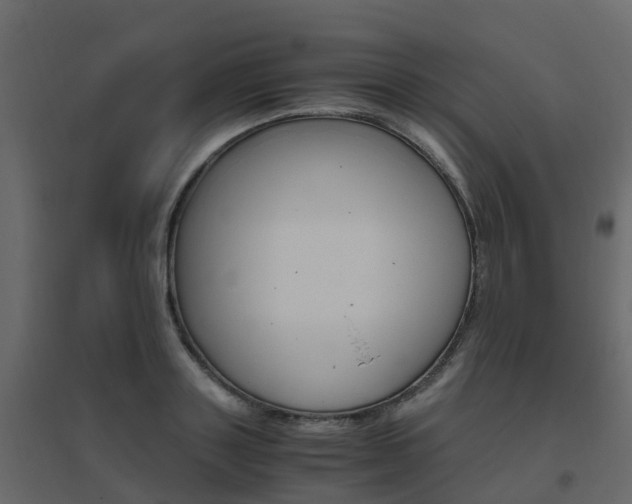 X0000096640843200802050956