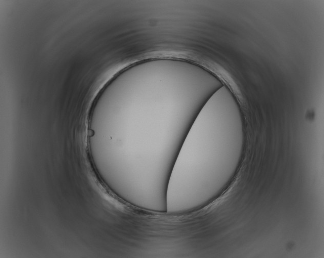 X0000096640844200802050956