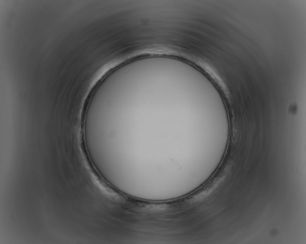 X0000096640845200802050956